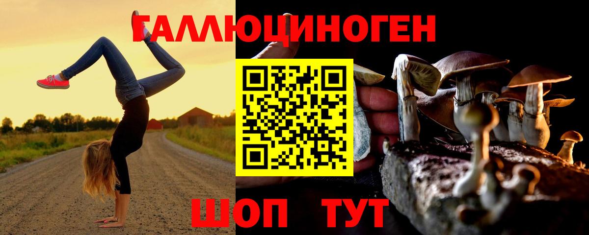 Псилоцибиновые грибы мицелий  Вход с VPN  Камышин 