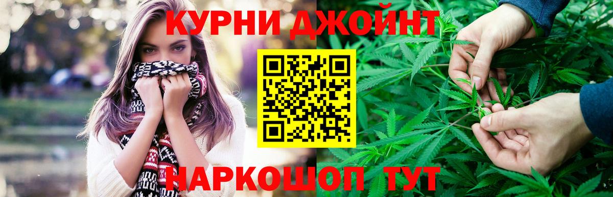 Бошки марихуана индика  Вход с VPN  Марихуана White Widow  Камышин 